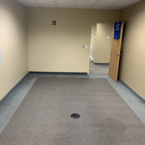 Carpet Removal Milford NJ