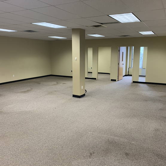 Carpet Removal Monitor NJ