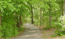 Junk Removal Roxbury Township 2